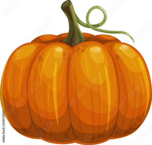 Ripe pumpkin with stem isolated autumn vegetable