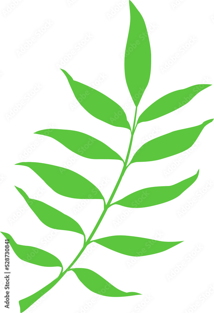 Green leaves branch isolated spring decor element Green leaves branch isolated spring decor element