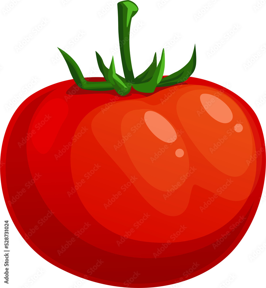 Ripe tomato vector icon, natural healthy vegetable Ripe tomato vector icon, natural healthy vegetable