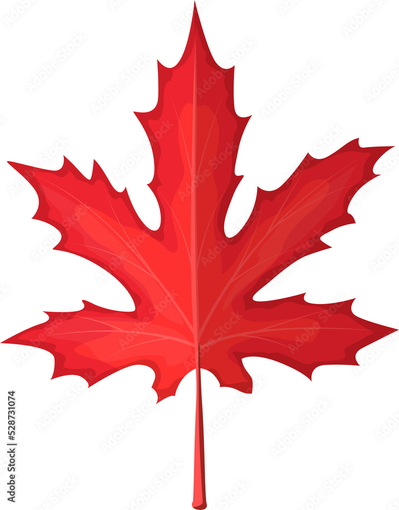 Autumn maple leaf cartoon isolated vector icon Autumn maple leaf cartoon isolated vector icon
