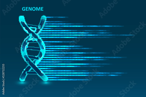 Big genomic data visualization