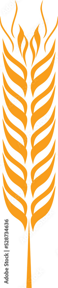 Fototapeta premium Common oat cereal grain species isolate seed plant