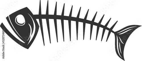 Photography Skinned fish isolated silhouette, skeletal spine