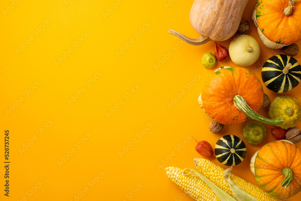 Autumn harvest concept. Top view vertical photo of raw vegetables pumpkins pattypans corn walnuts and physalis on isolated orange background with copyspace - obrazy, fototapety, plakaty 
