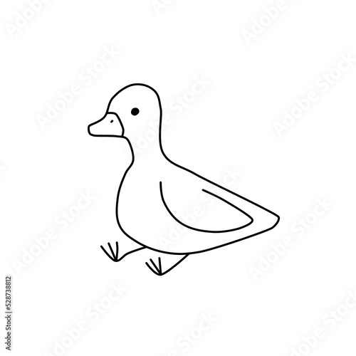 Simple vector illustration hand drawn of animal duck for kids colouring book