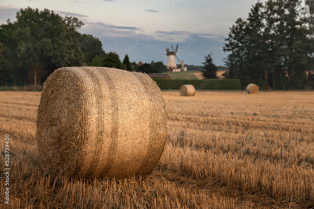 Straw bales in a field at sunset