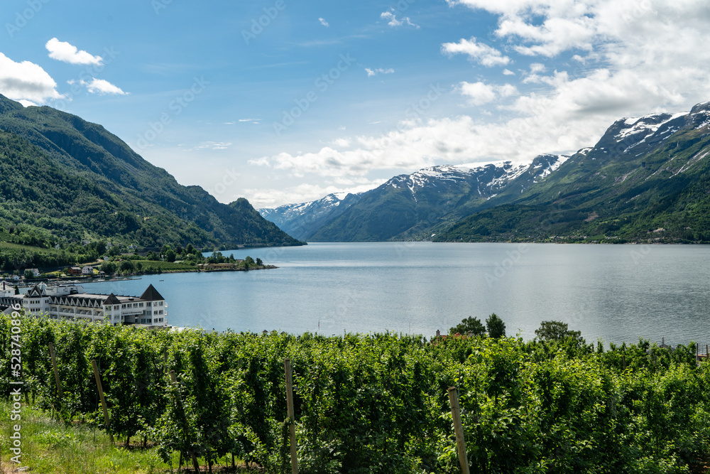 Naklejka premium Blick über den Sørefjord bei Lofthus, Norwegen