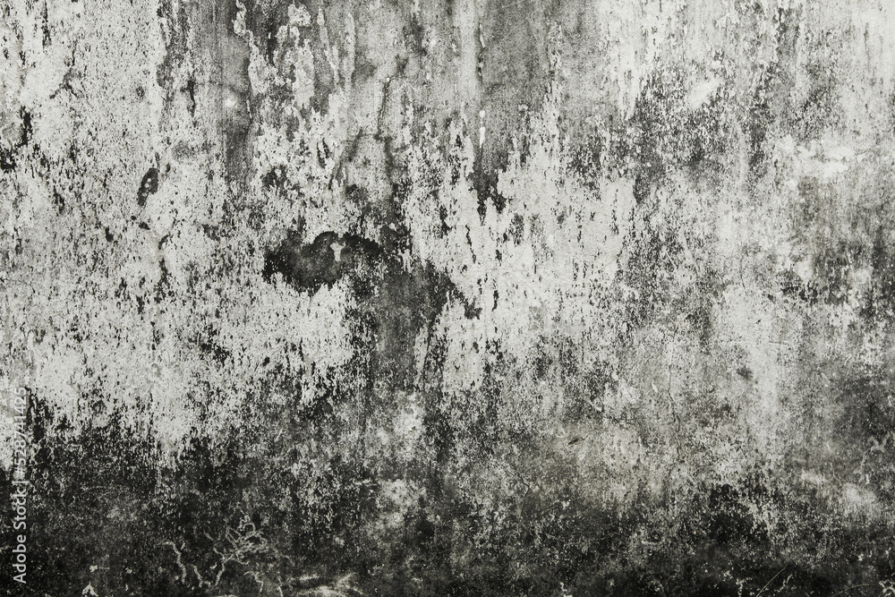 Mold buildup on the wall texture Mold buildup on the wall texture