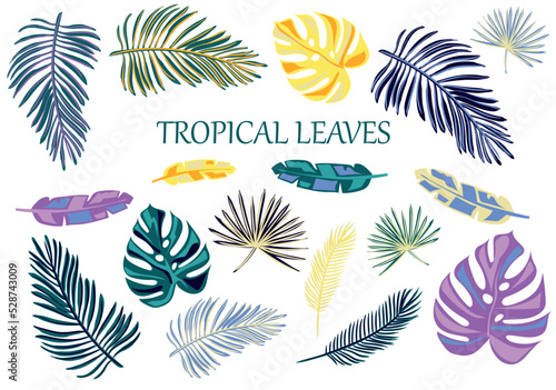 Tropical leaves set. Leaves isolated on white background.