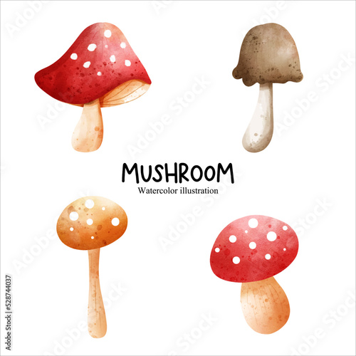 Watercolor mushroom, vegetables vector illustration