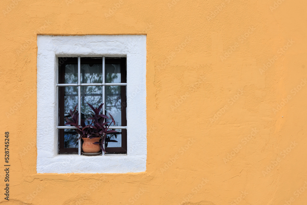 yellow wall with old window