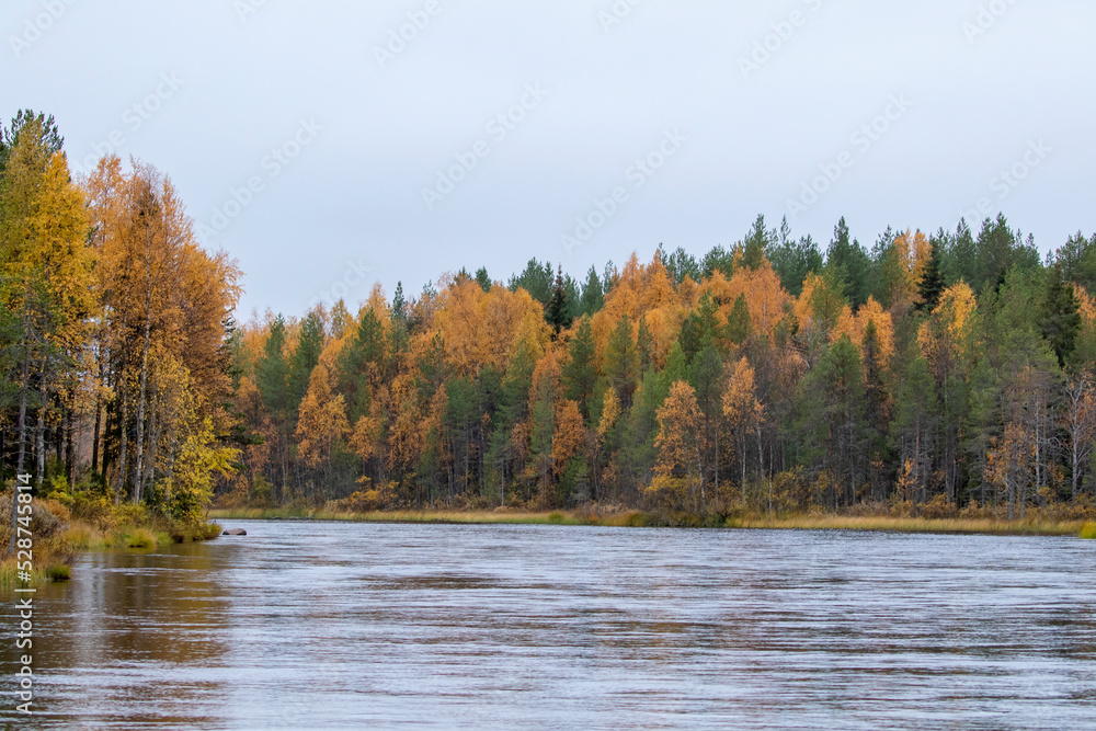 Colorful trees by the river during autumn foliage in Finnish nature, Northern Europe Colorful trees by the river during autumn foliage in Finnish nature, Northern Europe