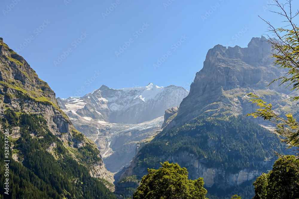 Naklejka premium Grindelwald, Unterer Grindelwaldgletscher, Eiger, Eigernordwand, Schreckhorn, Alpen, Fiescherhörner, Finsteraarhorn, Berner Oberland, Bergdorf, Sommer, Schweiz