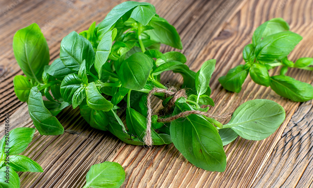 Fototapeta premium Green fresh basil on a wooden background