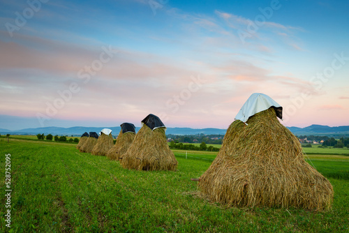 Obraz na płótnie Haystacks at Blazovce village in Turiec region, Slovakia.