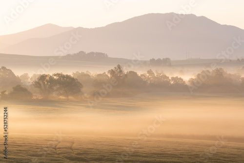 Morning fog in the floodplains of river Turiec in Slovakia.