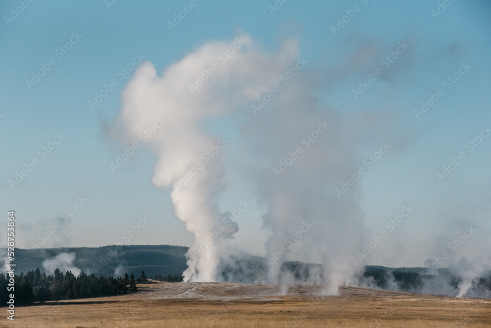 Fototapeta premium Yellowstone