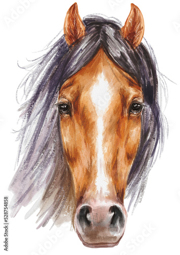 Brown horse portrait. Full face animal illustration.