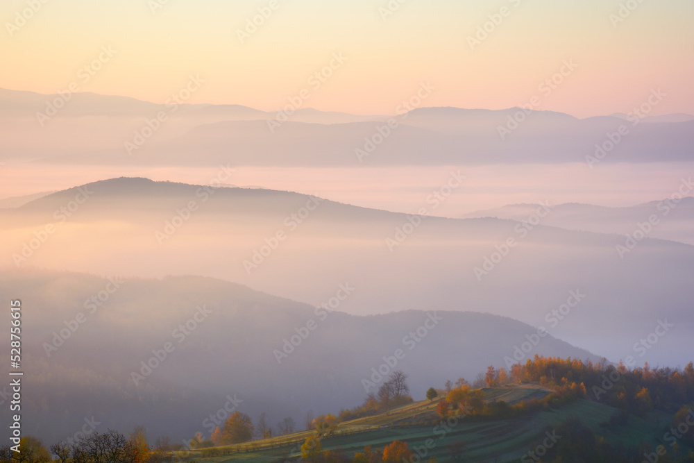 Obraz premium carpathian mountains at foggy sunrise. beautiful autumn landscape with forested rolling hills and glowing cloud inversion in the distance valley
