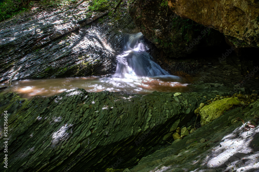 Fototapeta premium Beautiful gorge among the mountains. Trees and forest grow right on the slope. Sunny summer day. Beautiful nature. High mountains.