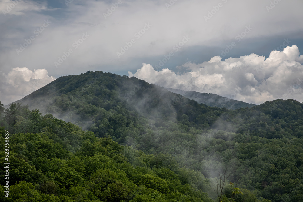 Mystical fog on the mountains. The forest grows on the slopes of the mountains. Fog after rain. Grey sky. Beautiful mountain landscape. Green trees.