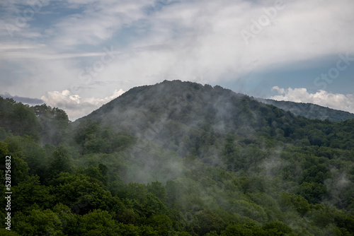 Mystical fog on the mountains. The forest grows on the slopes of the mountains. Fog after rain. Grey sky. Beautiful mountain landscape. Green trees.