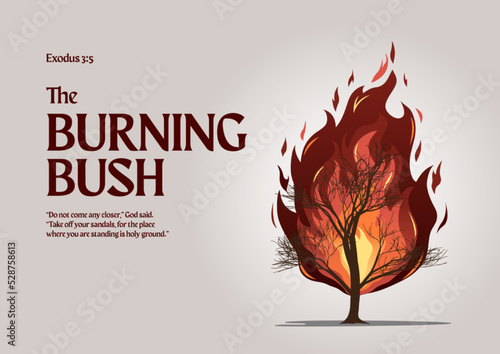 Photo Old testament. Burning bush vector illustration