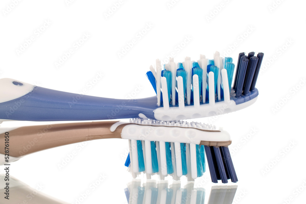 Two plastic toothbrushes, close-up, isolated on a white background. Two plastic toothbrushes, close-up, isolated on a white background.