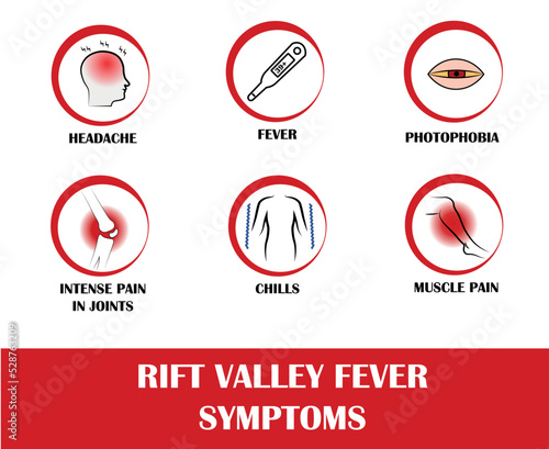 Rift valley fever symptoms, icon of headache, fever, photophobia, intense pain in joints, chills, muscle pain