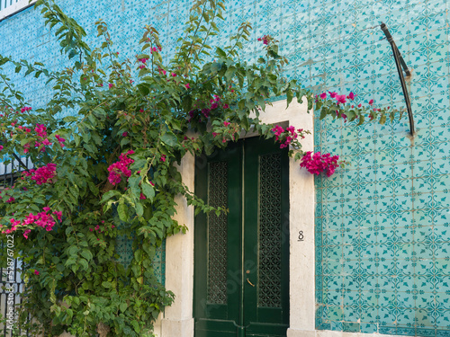 View of old house with green door, azure blue tiles facade and blooming flower at Lisbon street at medieval quarter Alfama at Santa Maria Maior district, Portugal.,