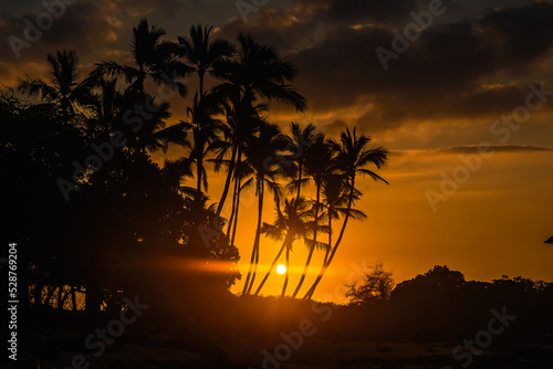 Sunset on the background of tropical palm trees. Silhouette of a warm summer  rest  vacation