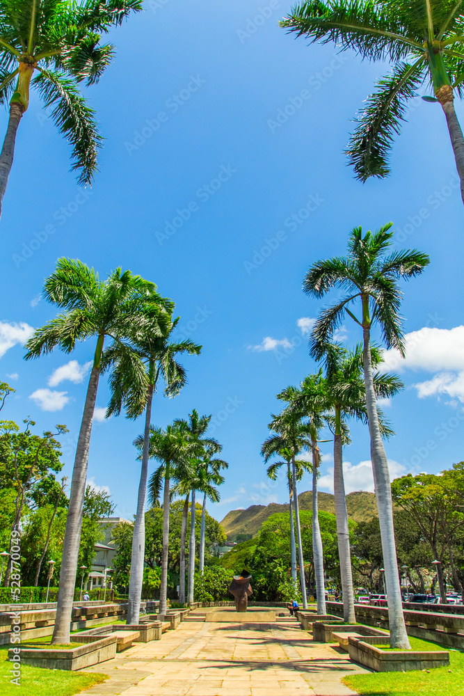 Fototapeta premium Walkway at sea Coconut trees with blue sky background