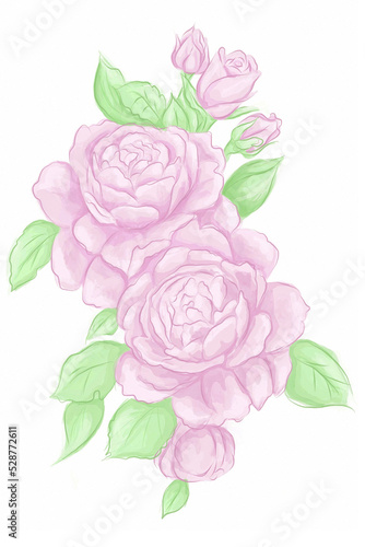 Watercolor flower illustration  pink peony on a white background. Set Peonies flowers