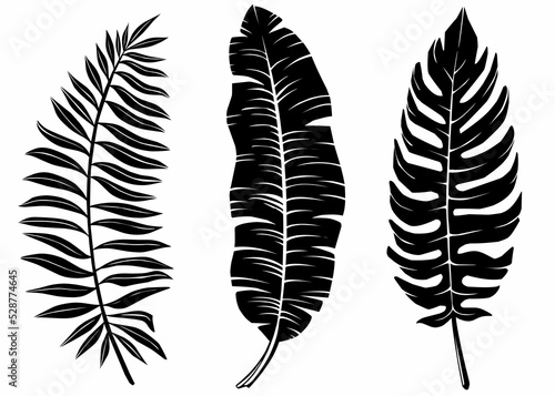 Set silhouette of tropical leaf isolated on white background