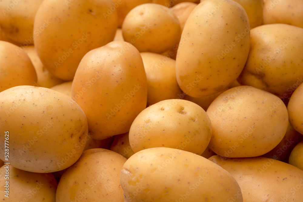 A group of fresh tasty potato as background. A group of fresh tasty potato as background.