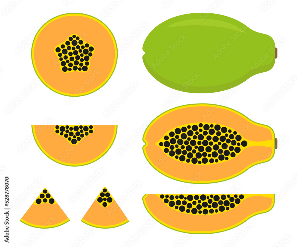 Papaya fruit. Color vector illustration of tropical fruit whole, half