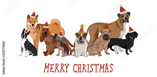 Christmas Dogs collection, holiday design. funny cartoon different breeds dogs illustrations. Dog characters in Santa hats, New Year, dog in Christmas costume.