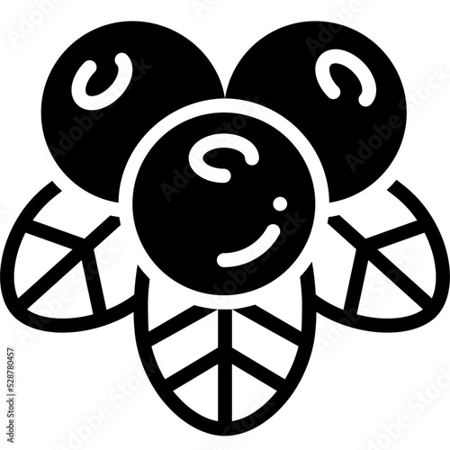 cranberry solid line icon