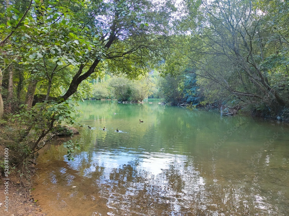 reflection in the water