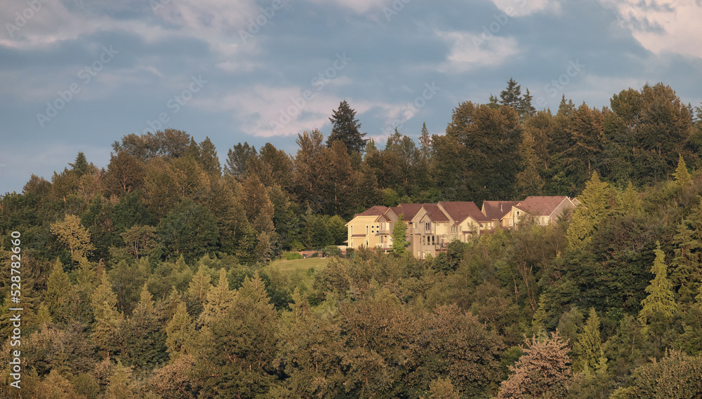 Residential Homes on top of a hill surrounded by green trees. Cloudy Sky Sunset. Fraser Heights, Surrey, Vancouver, BC, Canada. Residential Homes on top of a hill surrounded by green trees. Cloudy Sky Sunset. Fraser Heights, Surrey, Vancouver, BC, Canada.