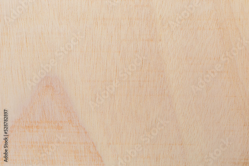 Light rough textured cut surface of an African tree. Wood background or blank for design photo