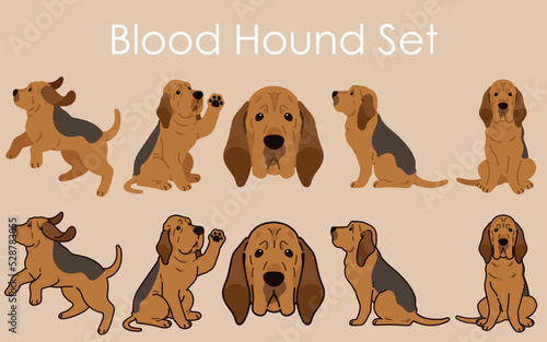 Simple and adorable Bloodhound dog illustrations set
