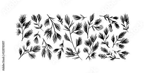 Christmas tree vector branches, fir and pine twigs. Hand drawn simple black and white branches. Collection of black plant silhouettes isolated on white background. New year clip art elements.