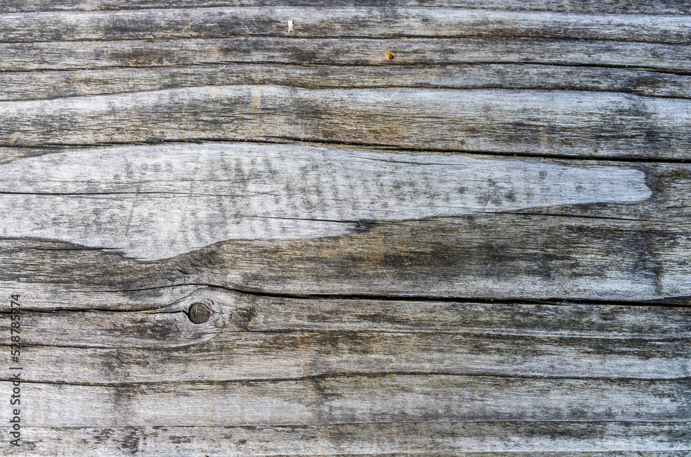 Old wood plank close-up wall background for design and decoration. Textured beautiful abstract surface for wallpapers and backgrounds Old wood plank close-up wall background for design and decoration. Textured beautiful abstract surface for wallpapers and backgrounds