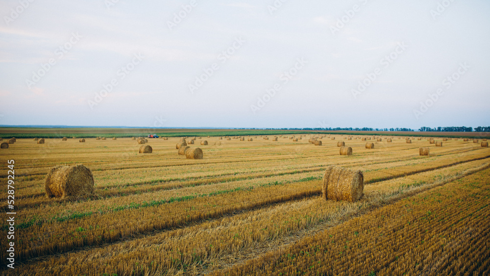 hay in a circle on the field