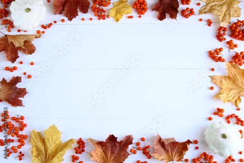 Autumn background with colorful leaves, rowan and patisons