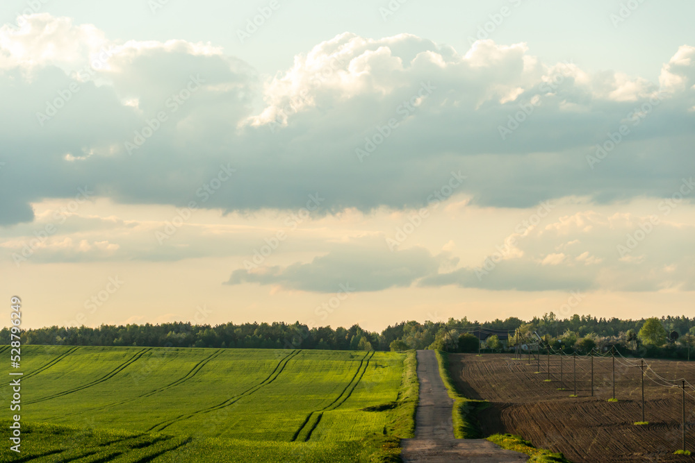 Obraz premium An empty roadway outside the city passes by a rural field and a blooming meadow. Travel by car away from the city and the hustle and bustle. Paved road on a sunny day without cars.