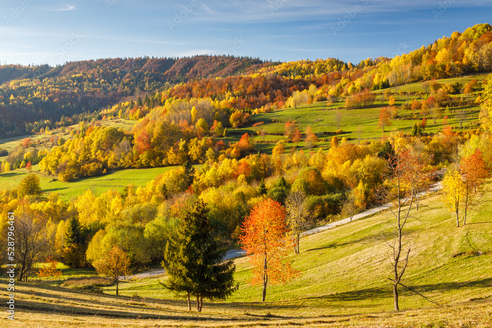 Beautiful rural landscape in the autumn season. The Mala Fatra national park in Slovakia, Europe.