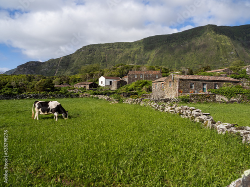 View of the picturesque village of Cuada, with its typical houses. In the foreground a cow eating and behind a cliff covered in green.
Cuada village, Flores Island. photo