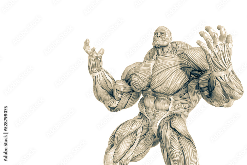 muscle maps of a strong man holping